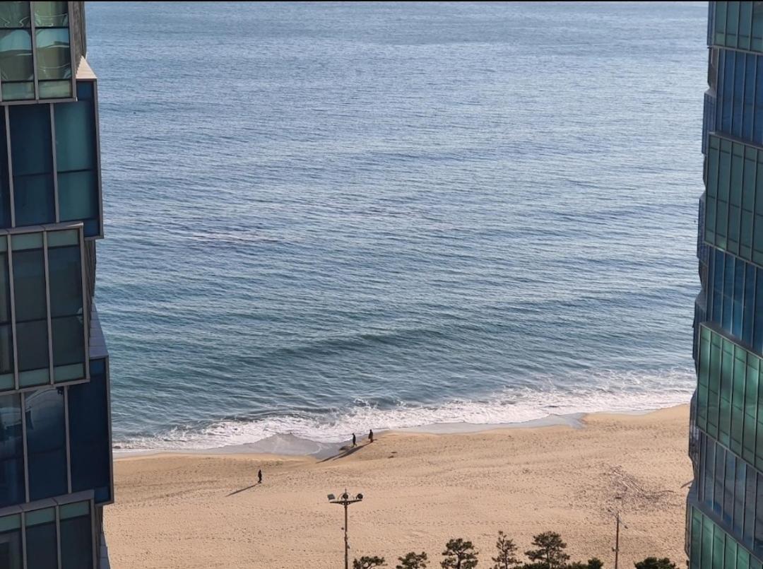 Haeundae Lavender House-Irua Hotel Busan Eksteriør bilde
